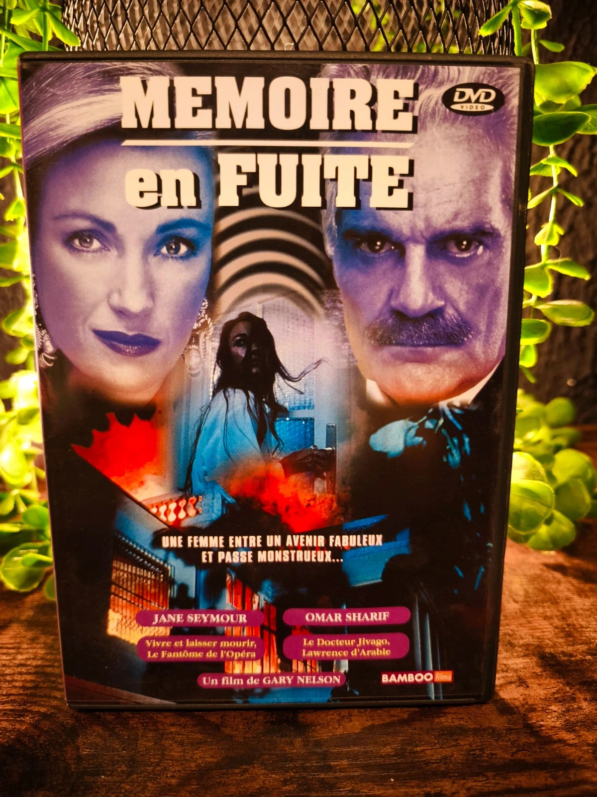 Mémoire en fuite
